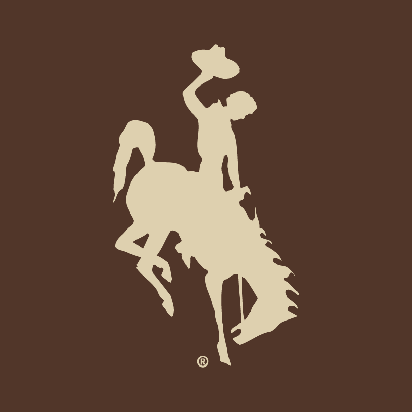 Wyoming Cowboys 2006-2012 Alternate Logo v2 diy fabric transfer